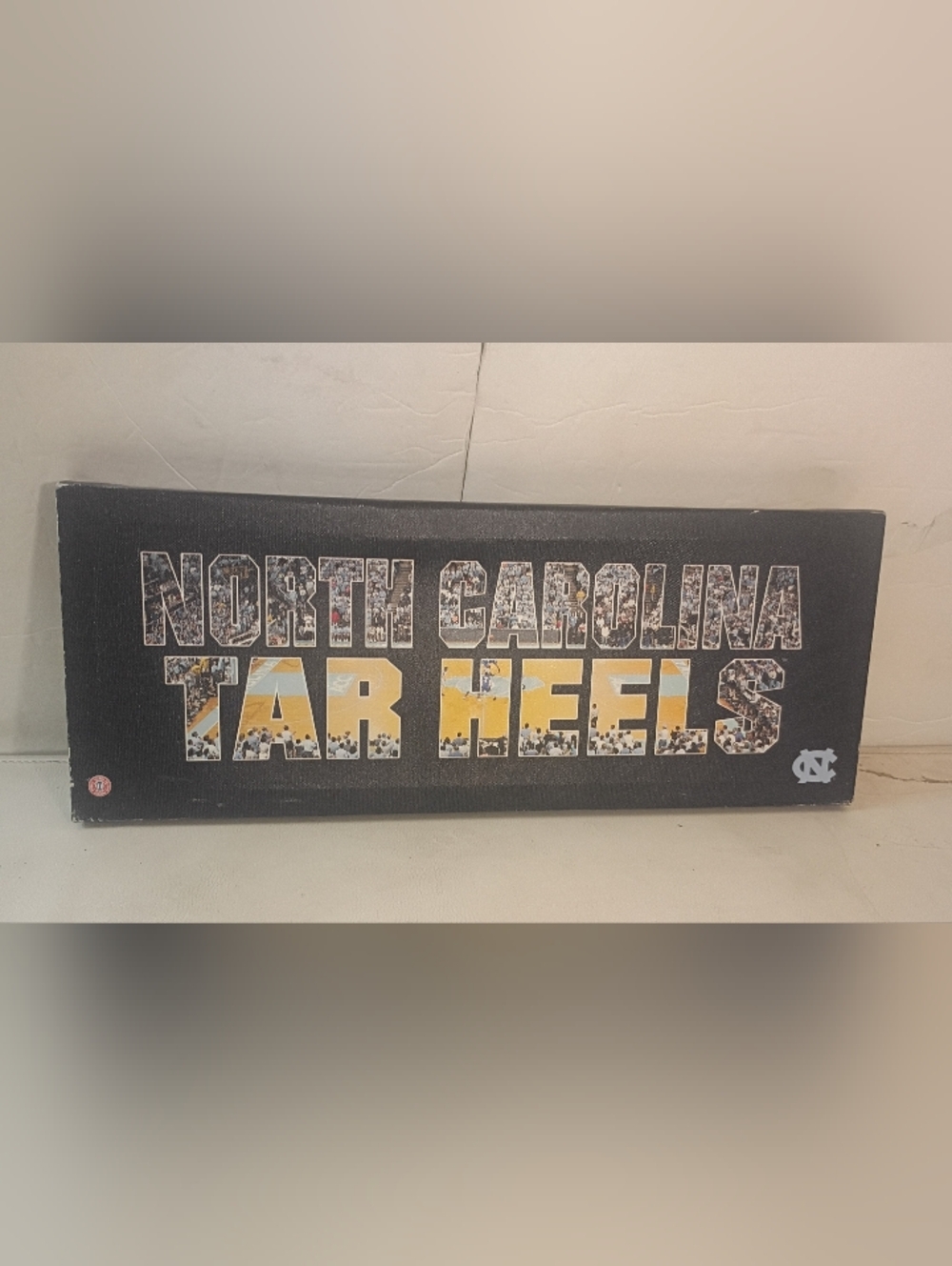 UNC North Carolina Tar Heels Artissimo Stadium Collage Canvas 19.5 x 7.5 x 1.5